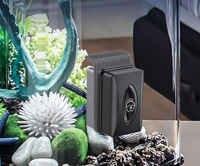 Magnetic aquarium brush cleaning algae from fish tank glass