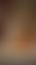 Overweight Dogs & Cats: How to Keep Your Pet at a Healthy Weight (2025 Guide)