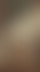 Illustration of a small dog sitting happily in front of a damaged interior door with scratch marks, representing common door-scratching problems and the need for protective dog essentials.