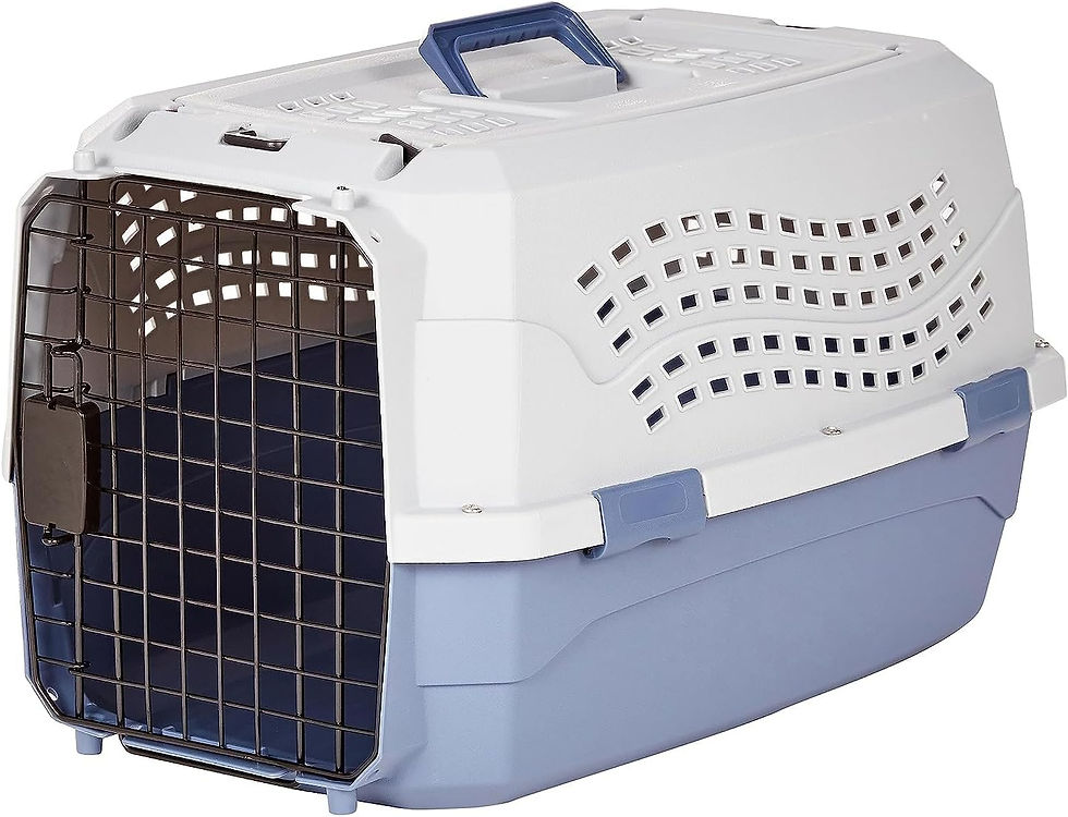 Gray and blue Amazon Basics 2-door pet carrier, hard-sided travel crate with top and front openings.