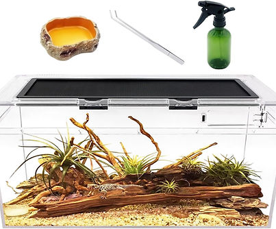 Medium reptile terrarium with secure mesh lid, ideal for geckos and small lizards.