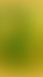 Petalbun: The Bloom-Treader of Spring