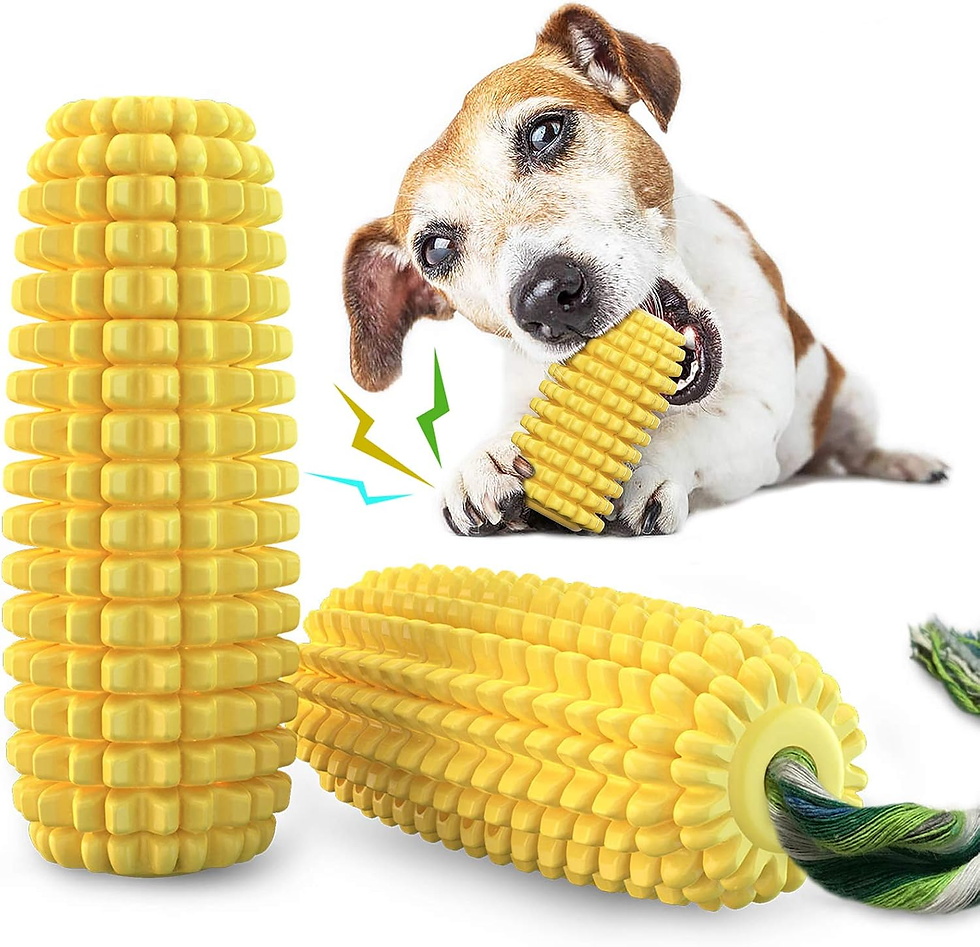 Durable squeaky chew toy for dogs that encourages play, reduces boredom, and mentally stimulates overweight pups.