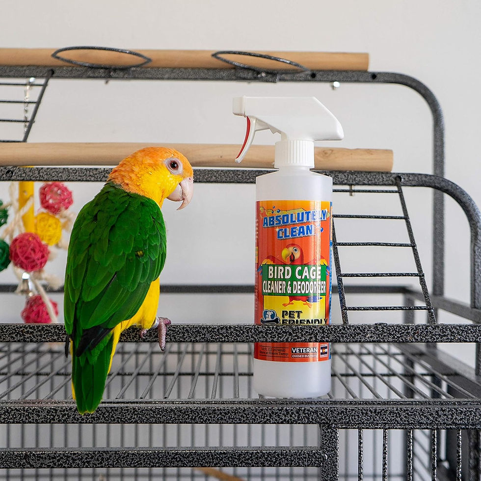 Bird-safe spray bottle cleaner and deodorizer for cages, safe for parrots, cockatiels, and budgies.