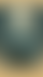 Moondrake, a pale dragon with long wings and a slender body, standing on a rocky peak beneath a glowing full moon, surrounded by drifting clouds and soft moonlight.