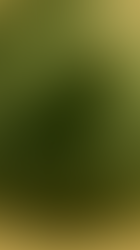 Thorncat, a cat-like creature with vine-covered fur and thorny growths along its body, standing alert on forest ground with glowing green eyes and twisting branches in the background.