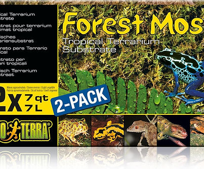 Natural green forest moss for reptile humidity and shedding.