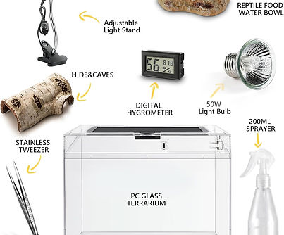 Reptile PC terrarium starter kit with tank, lighting, and accessories.