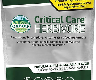 Oxbow Critical Care assist feeding formula for sick or recovering pets.