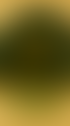 Frogster, a round-bodied frog-like creature with wide green eyes and small mammal-like ears, sitting on a mossy rock at the edge of shallow water.