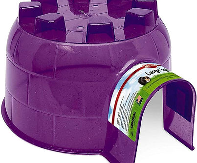 colorful plastic igloo hideout for guinea pigs, ferrets, and dwarf rabbits.