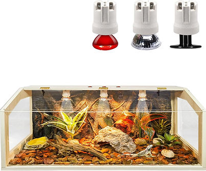 Large 48-inch reptile terrarium with built-in lamp fixtures and side windows.