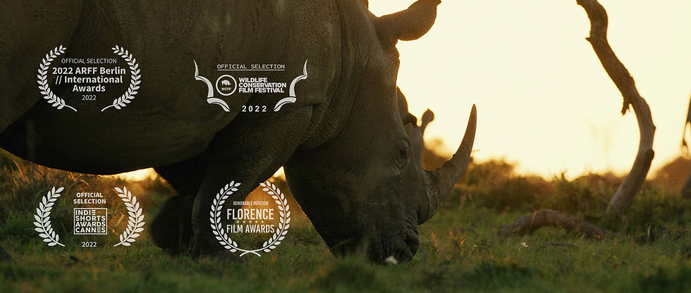 Antoine_Janssens_rhino_frame15.jpg