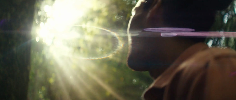 Antoine_Janssens_kapiti_bs_frame8.jpg