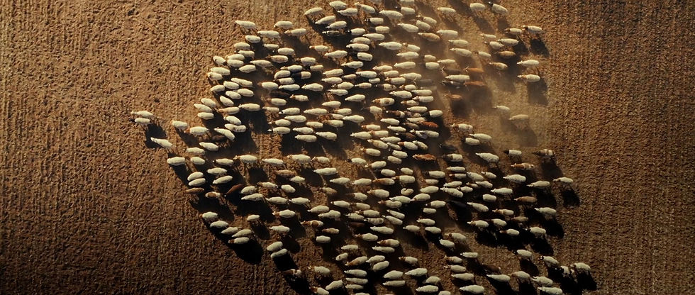 Antoine_Janssens_mongolia_frame3.jpg