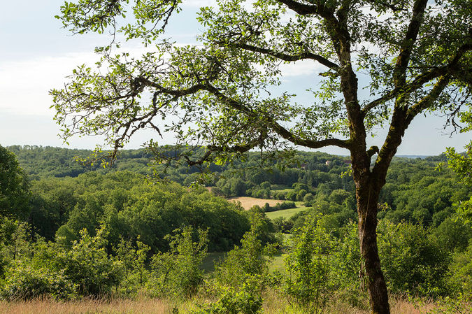 IMG_2463 copie.jpg