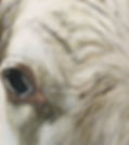 Thumbnail: detail of white cow oil painting