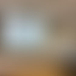 青少年委員会6ブロックの地域合同研修会に参加しました!