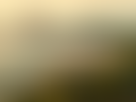 Anchieta avança na geração de dados sobre a ocupação dos meios de hospedagem