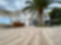 IMG_5029.JPEG.jpeg