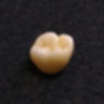Single Bruxir Crown