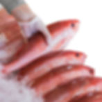 FISH & SEAFOOD