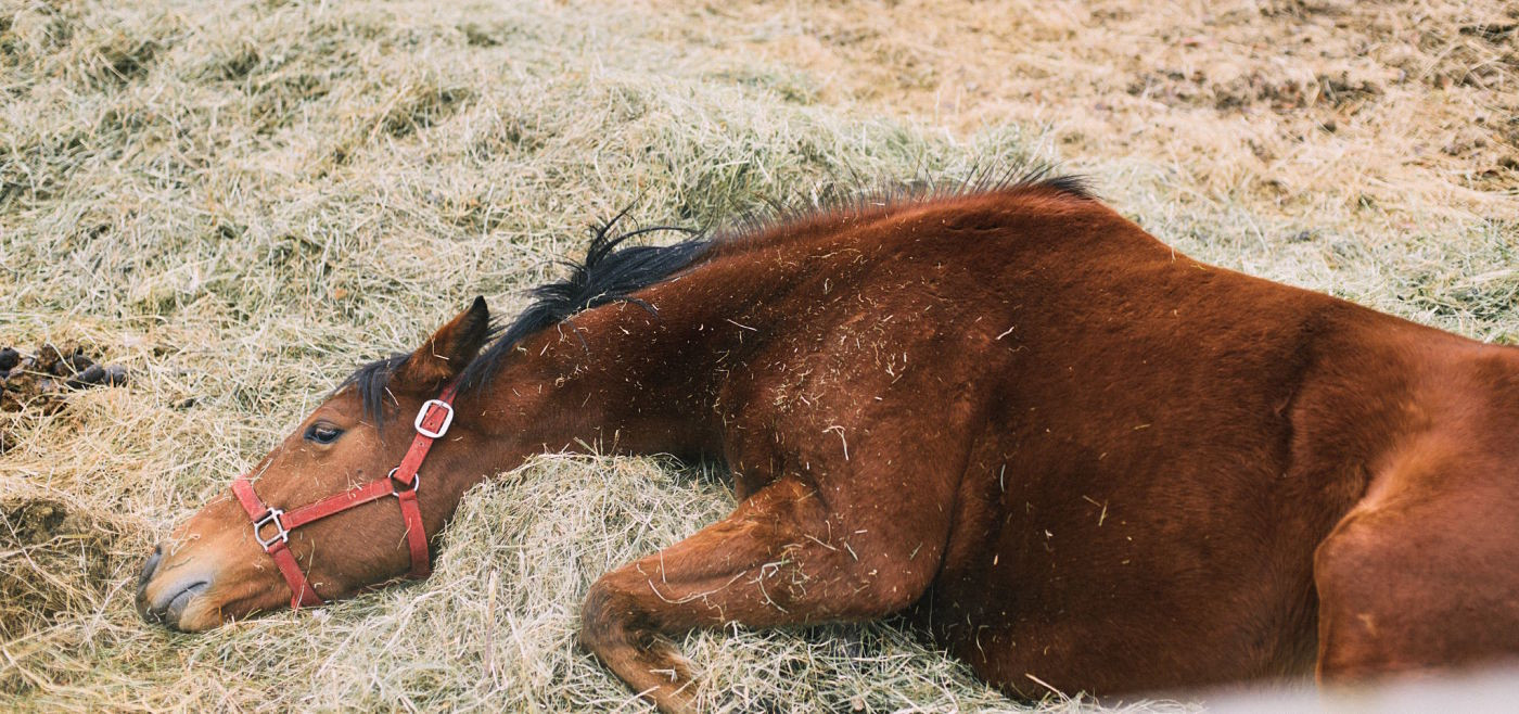 Modern Strategies for Riding a Dead Horse