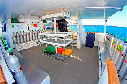 Aqua-dive-platform1.jpg