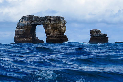 aqua_diving_darwins-e1588709091916-1536x1024.jpg