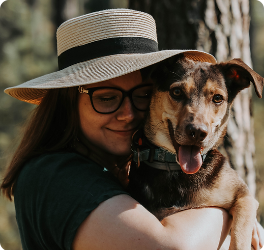 īpašnieka lapas slīdnis.png