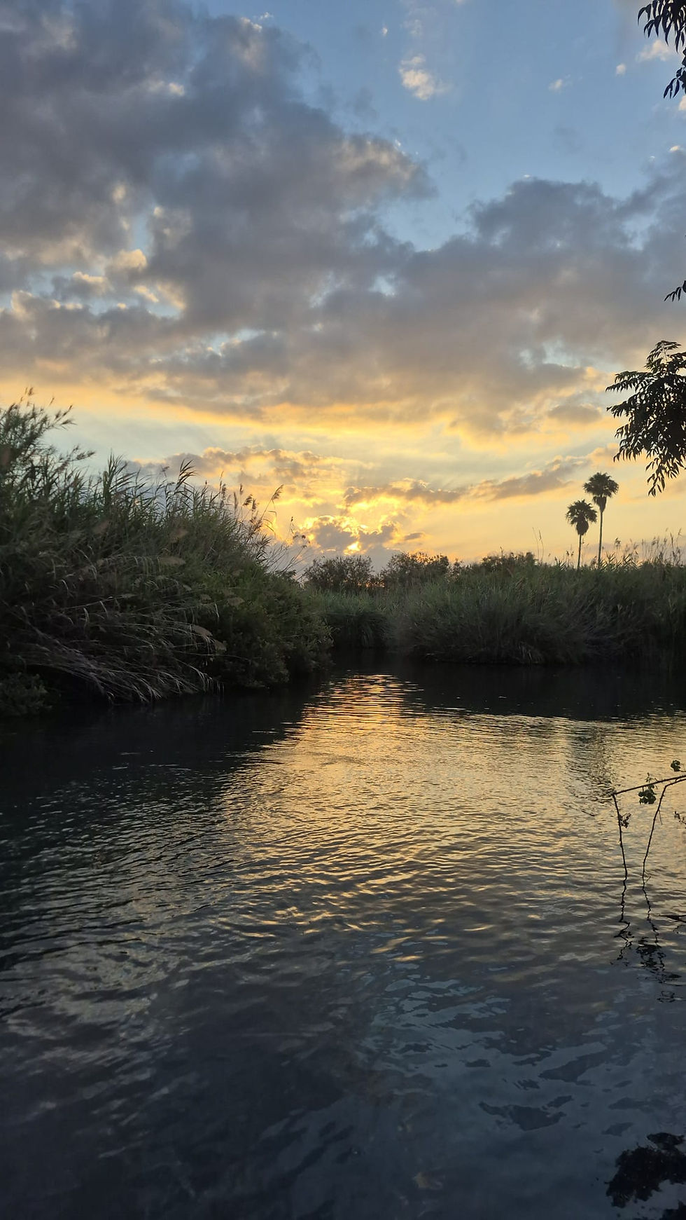 Sunrise over Nachal Hakibutzim