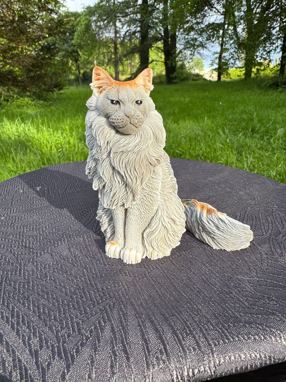 Chat maine coon en résine