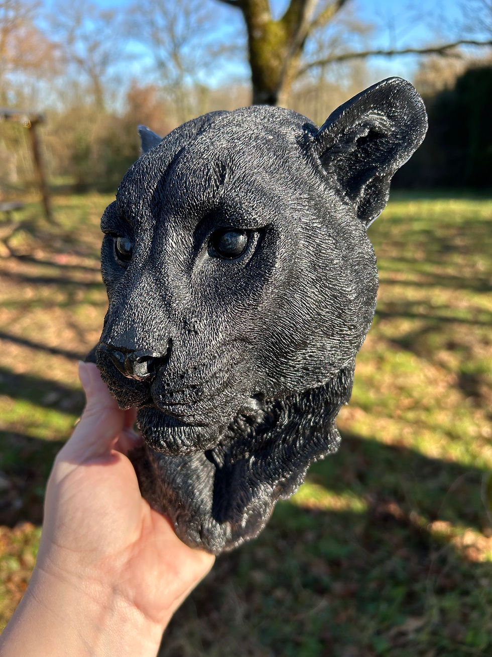 Thumbnail: Tête de puma 