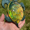 Miniature : Tortue holographique 