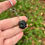 Miniature : Mini patte 