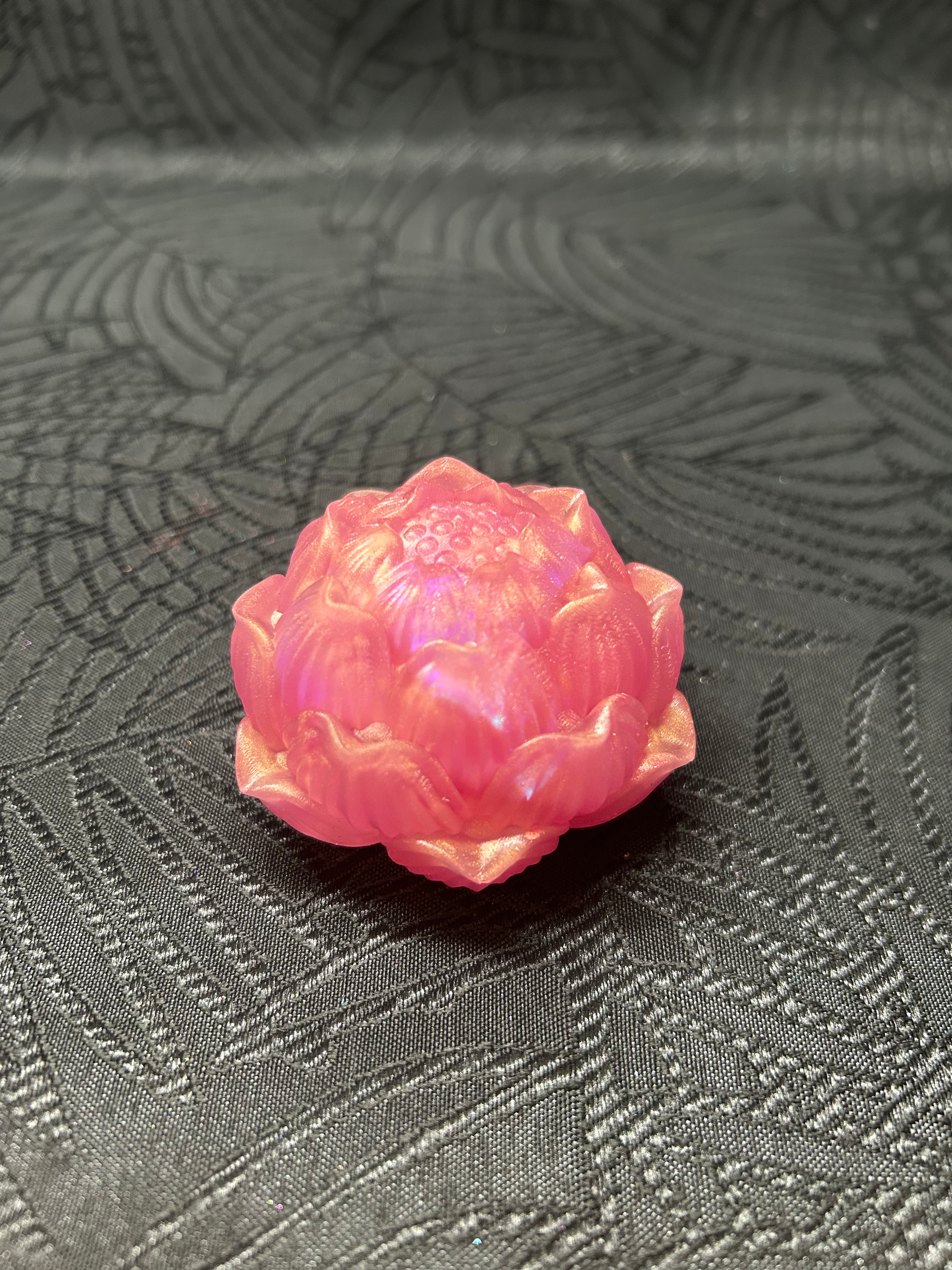 Fleur de lotus rose pêche