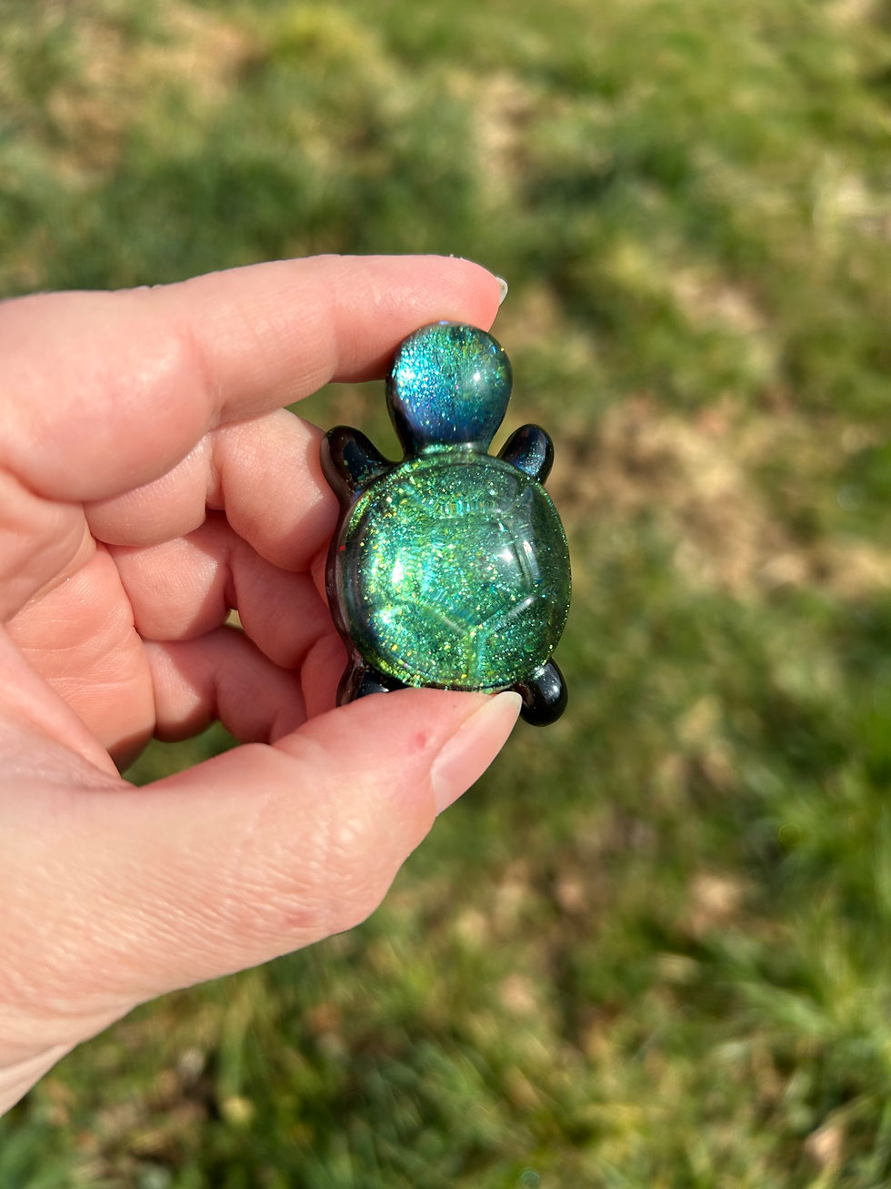 Thumbnail: Mini tortue reflet caméléon