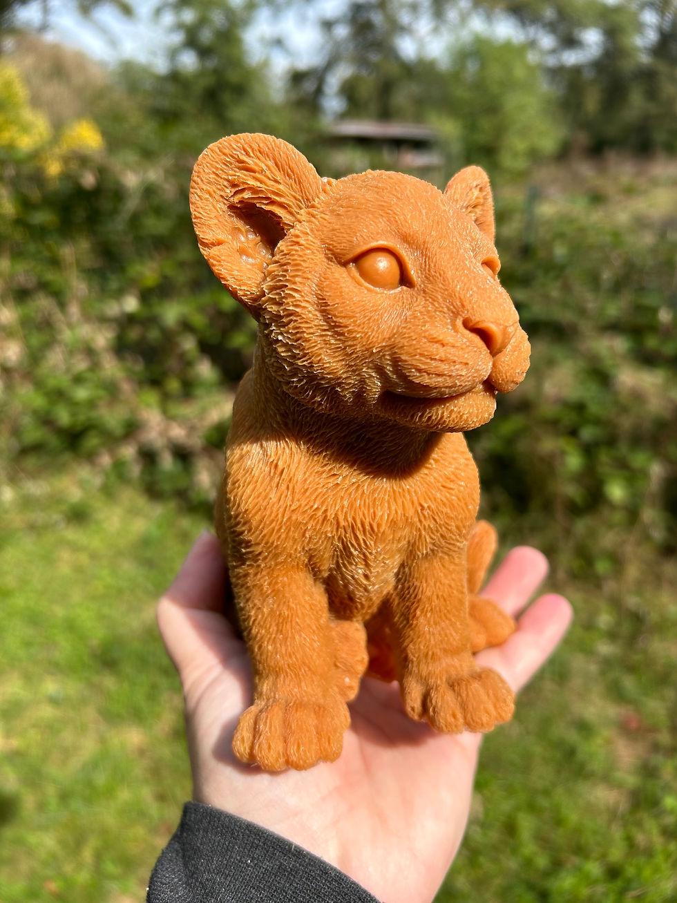 Miniature : Lionceau 