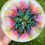 Thumbnail: 3D flower effect tray