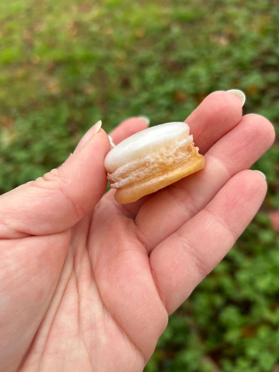 Thumbnail: Macaron 