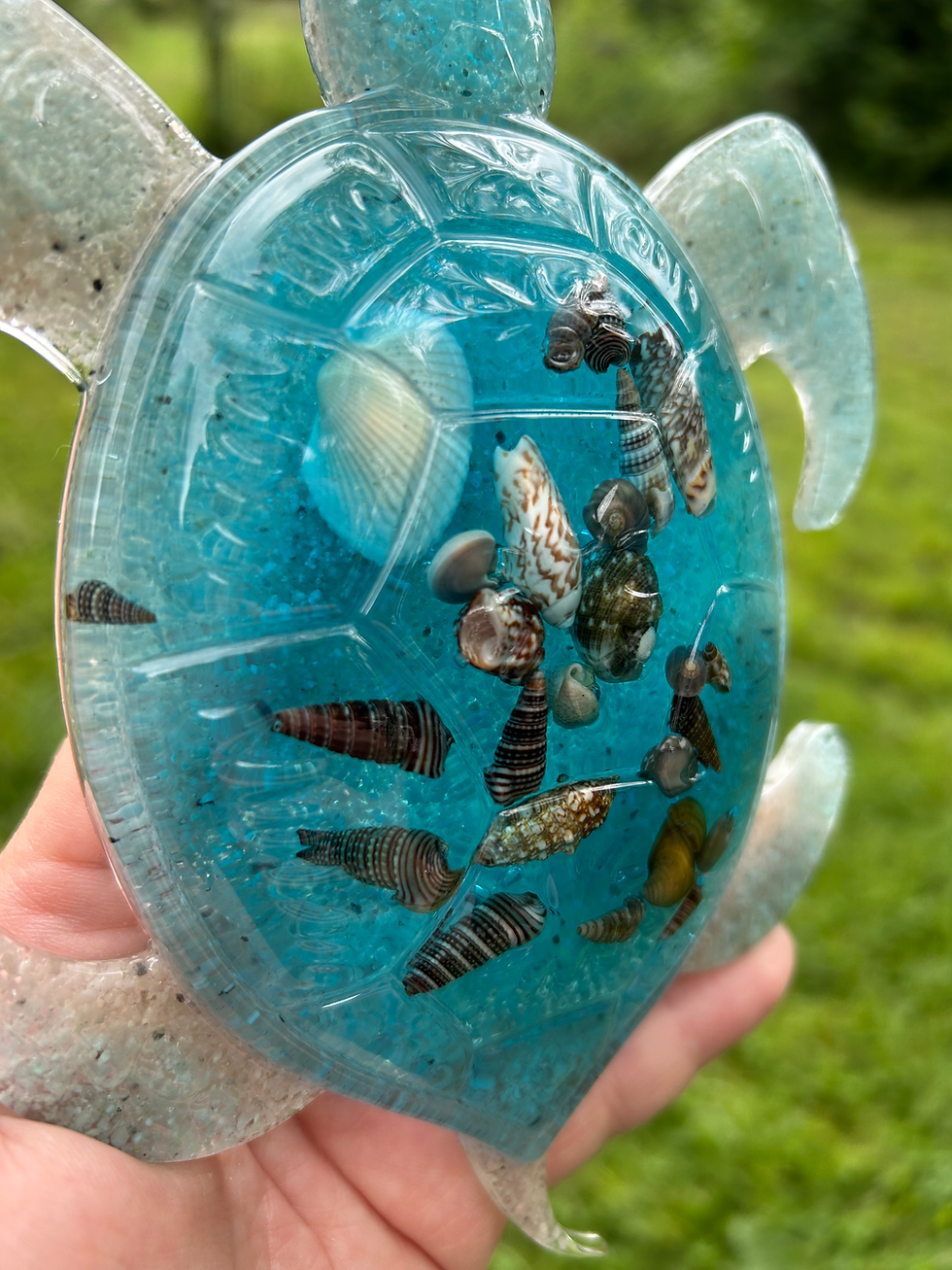 Thumbnail: Tortue marine 
