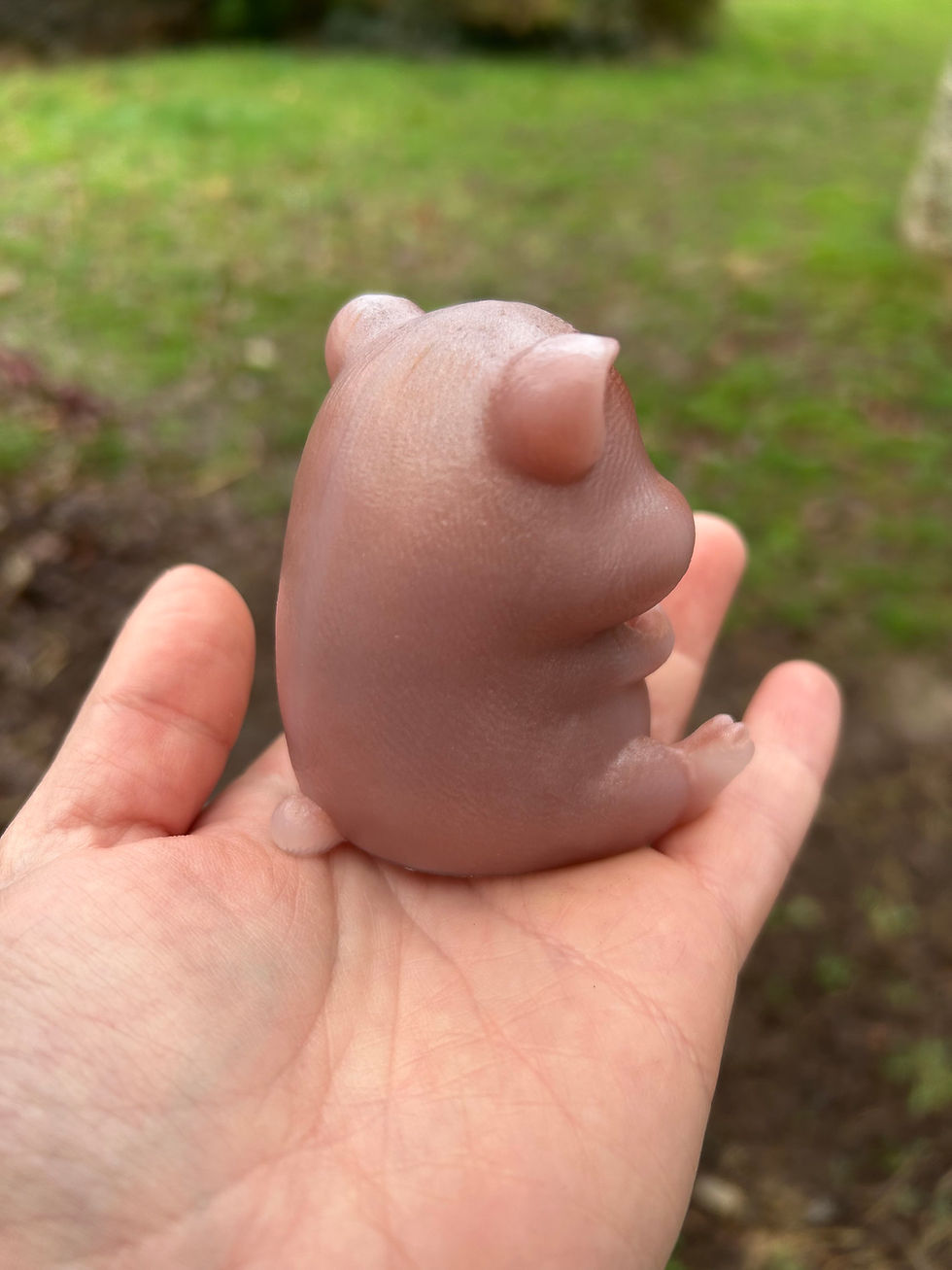Thumbnail: Hamster