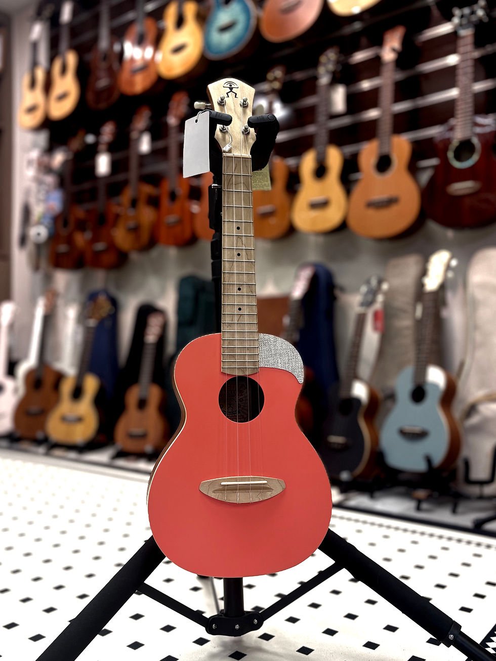 縮圖：aNueNue UC10 Blue & Coral Red
