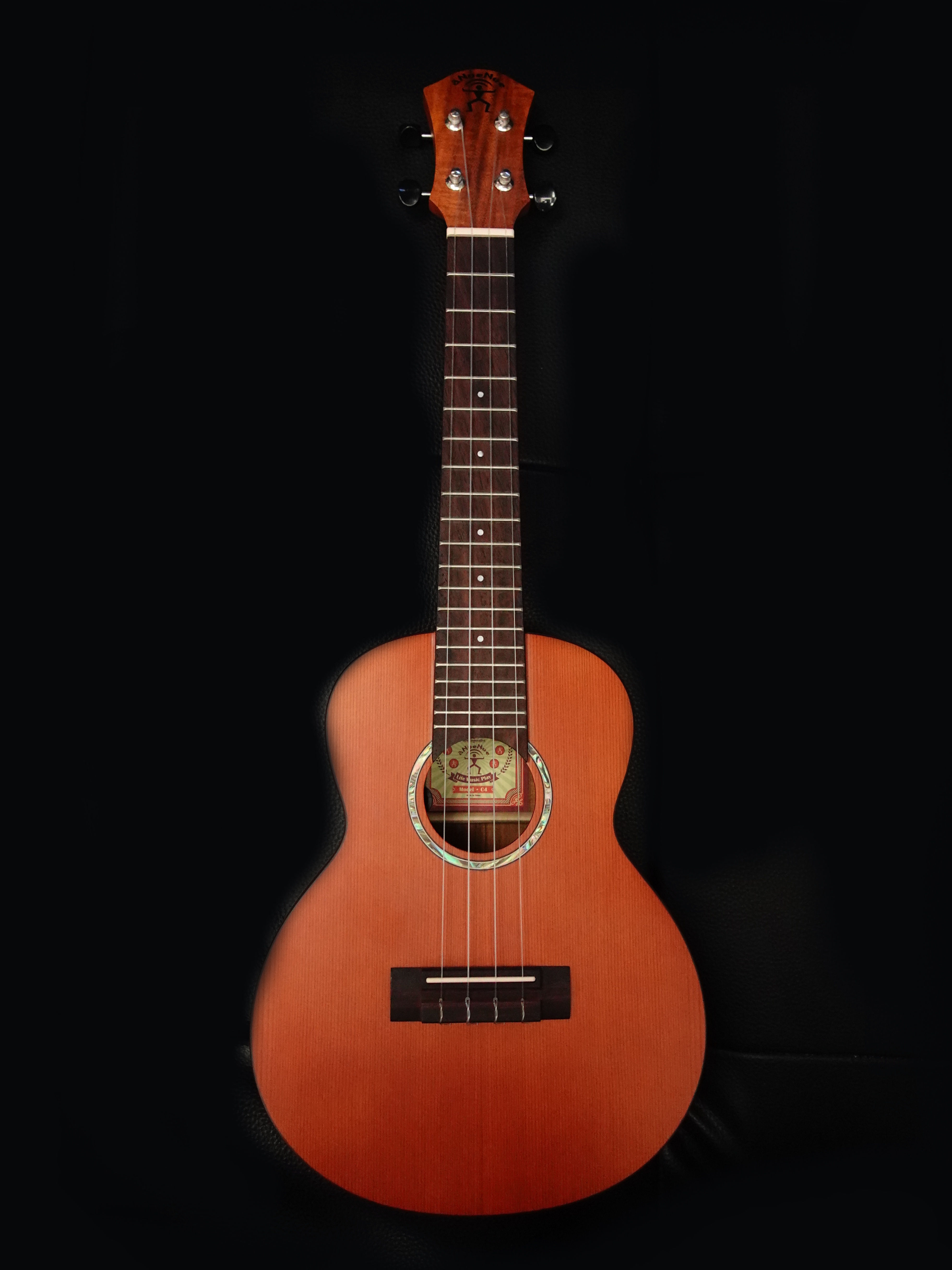 aNueNue C4