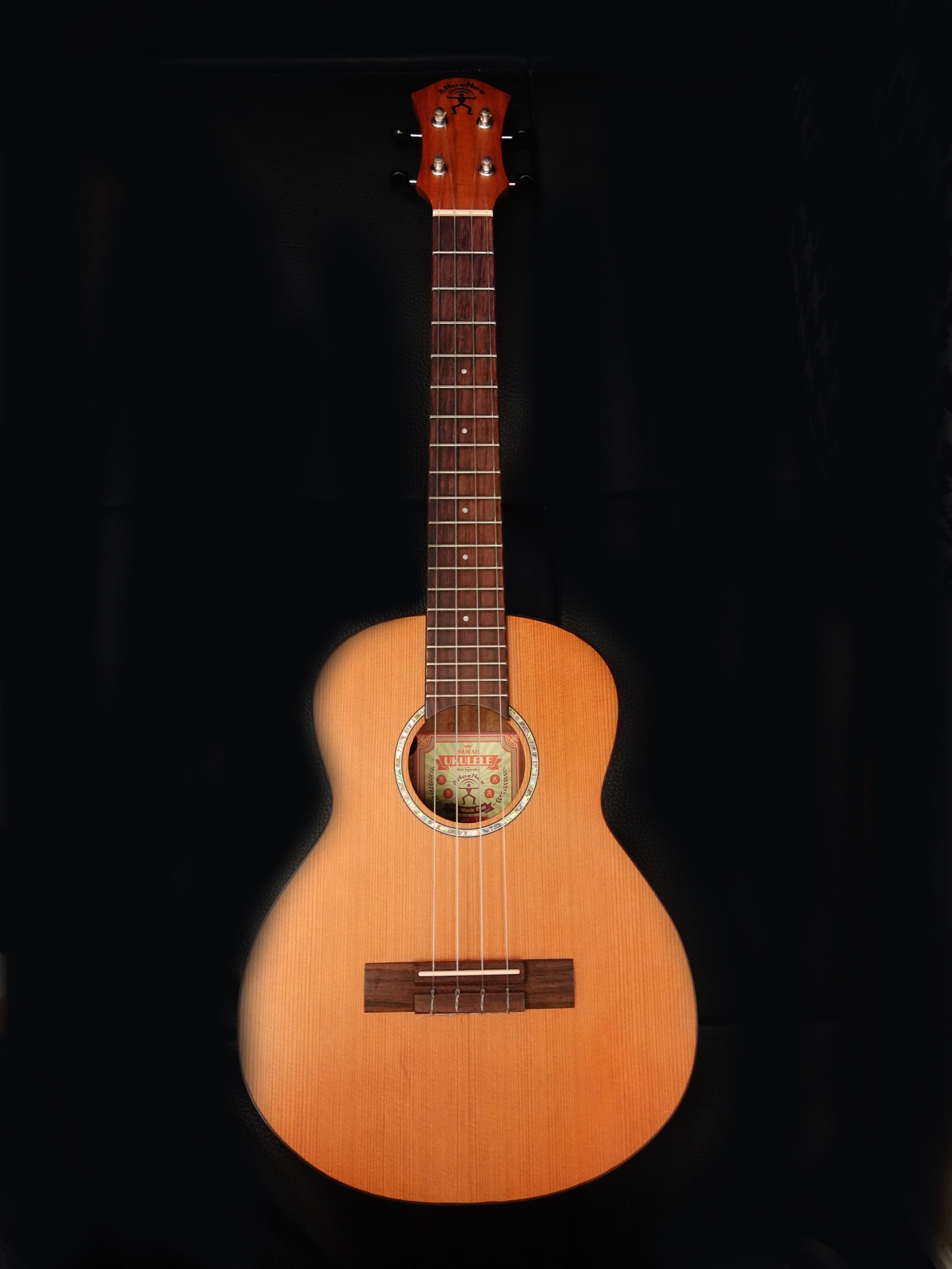 aNueNue T4