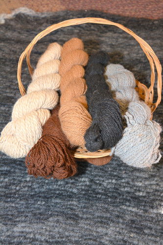 Natural Color Alpaca Yarn | suncrest-orchard