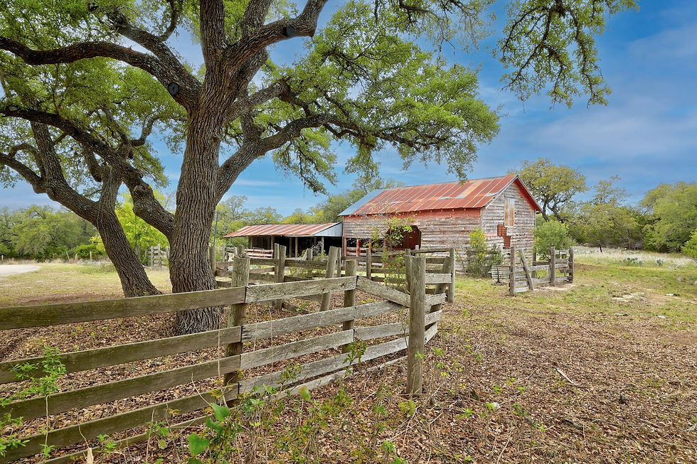 004-431256-0 Trail Driver20221119_0004_12020672.jpg