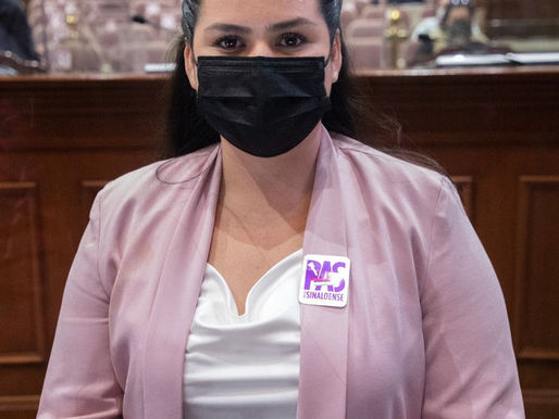 DIPUTADA ACUSA QUE LE ÉCHAN MONTÓN SUS PROPIOS COMPAÑEROS DE LA COMISIÓN DE SALUD