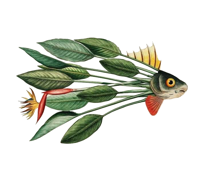 Vintage Fauna Illustrations-2_edited.png