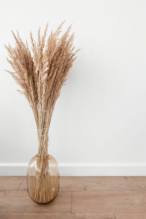 katsia-jazwinska-y-IwXNMxN_o-unsplash_edited.jpg